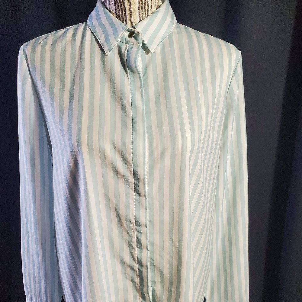 Ellen Tracy Long-Sleeve, Button-Up, Striped Blouse, M, Seagreen/White